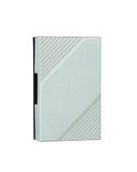 Image of CHIME 169 w